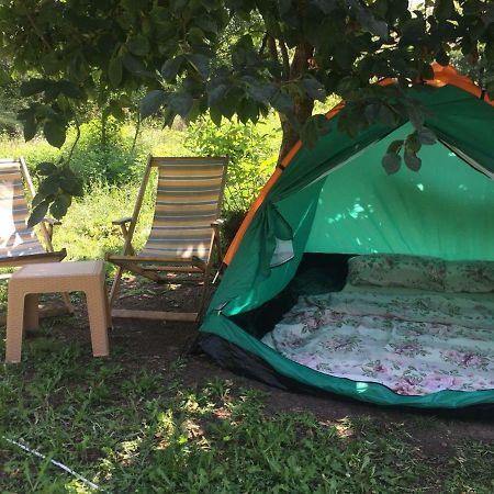 威尔帕扎 Camp Podkraj酒店 外观 照片
