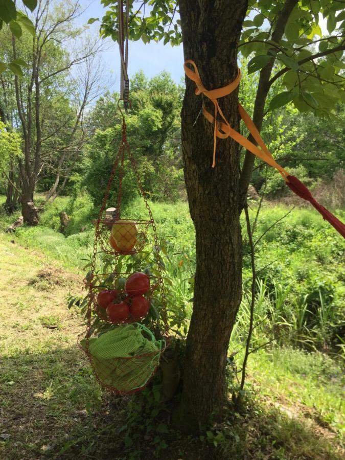 威尔帕扎 Camp Podkraj酒店 外观 照片