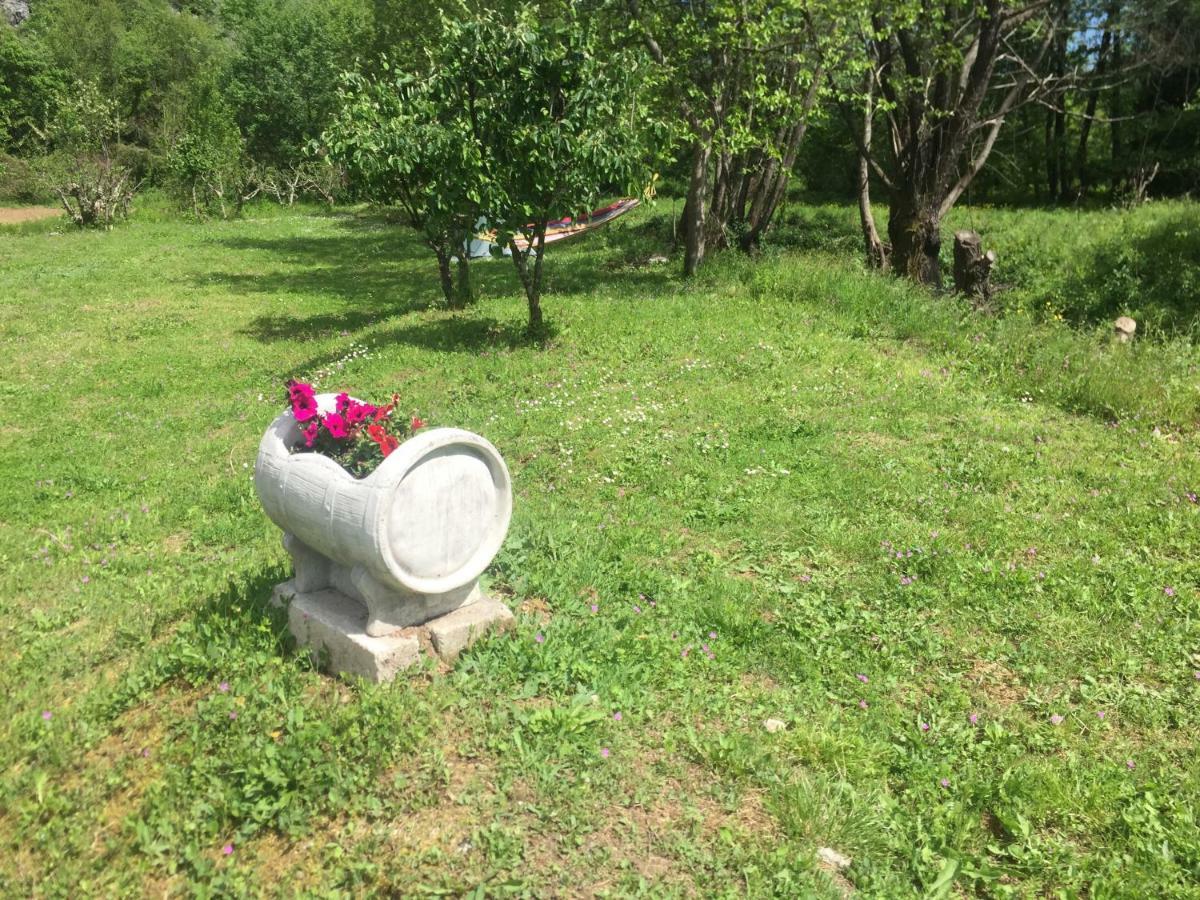 威尔帕扎 Camp Podkraj酒店 外观 照片