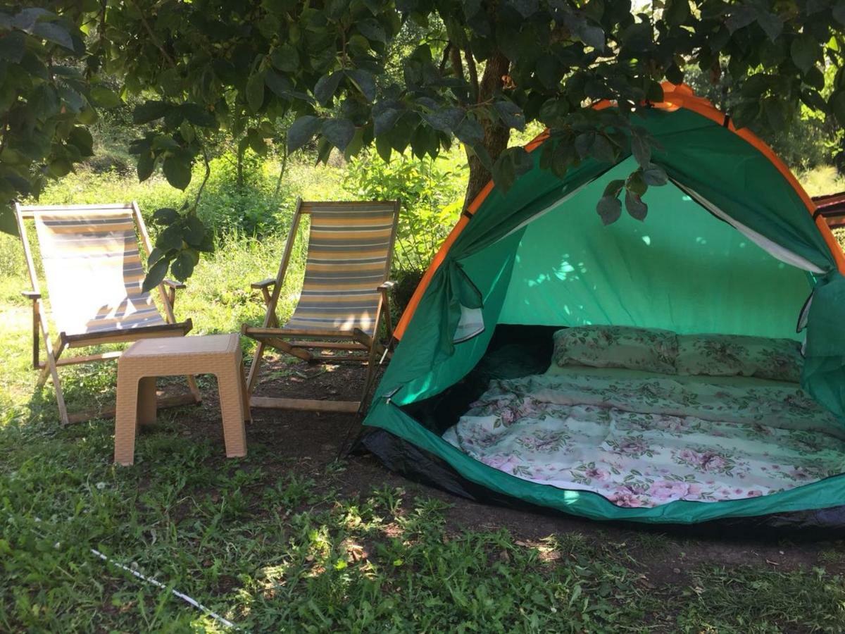 威尔帕扎 Camp Podkraj酒店 外观 照片